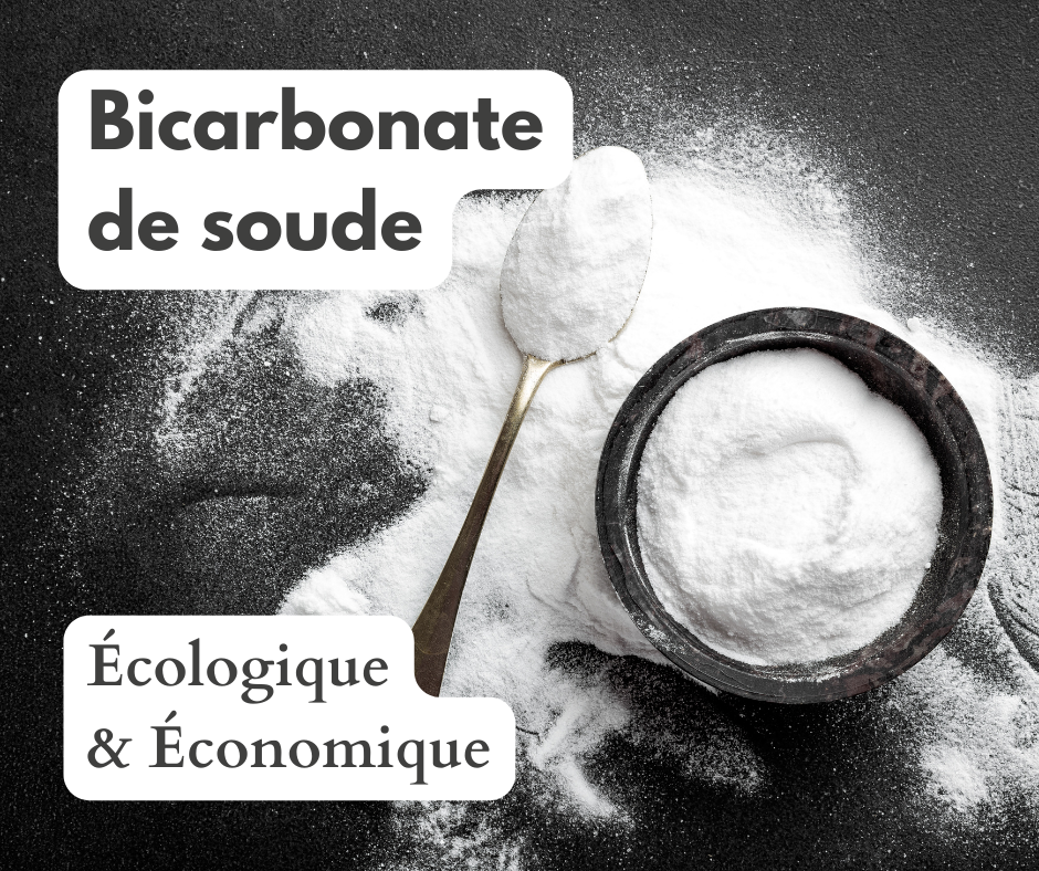 ménage écologique sur Le Pouliguen